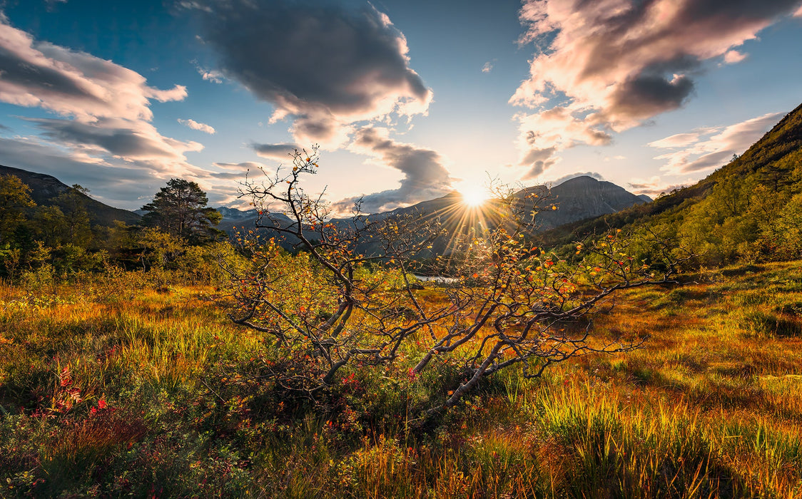 Vlies Fototapete | Norwegische Herbstwelten | Größe 450 x 280 cm