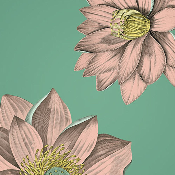 Vlies Fototapete | Blissful  | Größe 200 x 250 cm