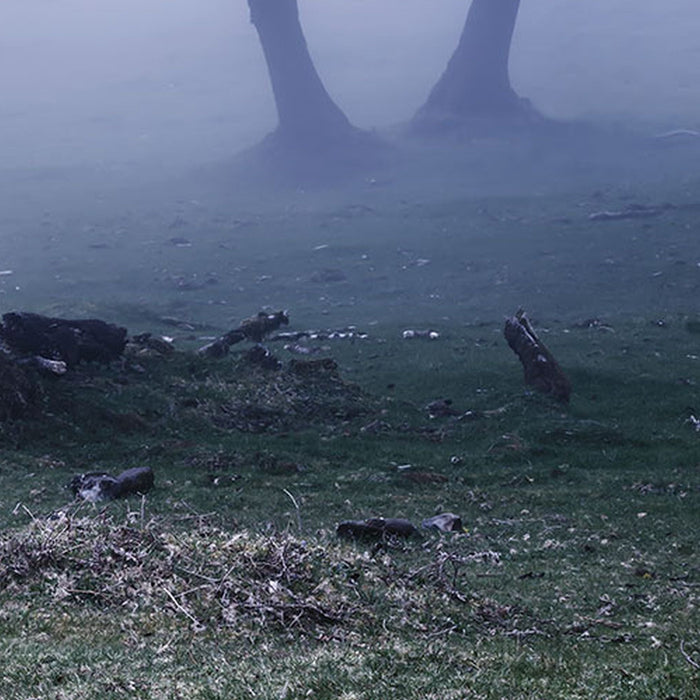 Vlies Fototapete | Ghost Line | Größe 400 x 250 cm