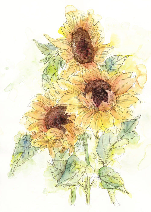 Vlies Fototapete | Girasol  | Größe 200 x 250 cm