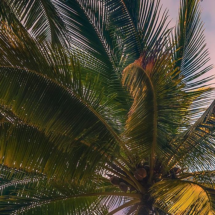 Vlies Fototapete | Vertical Paradise | Größe 200 x 280 cm