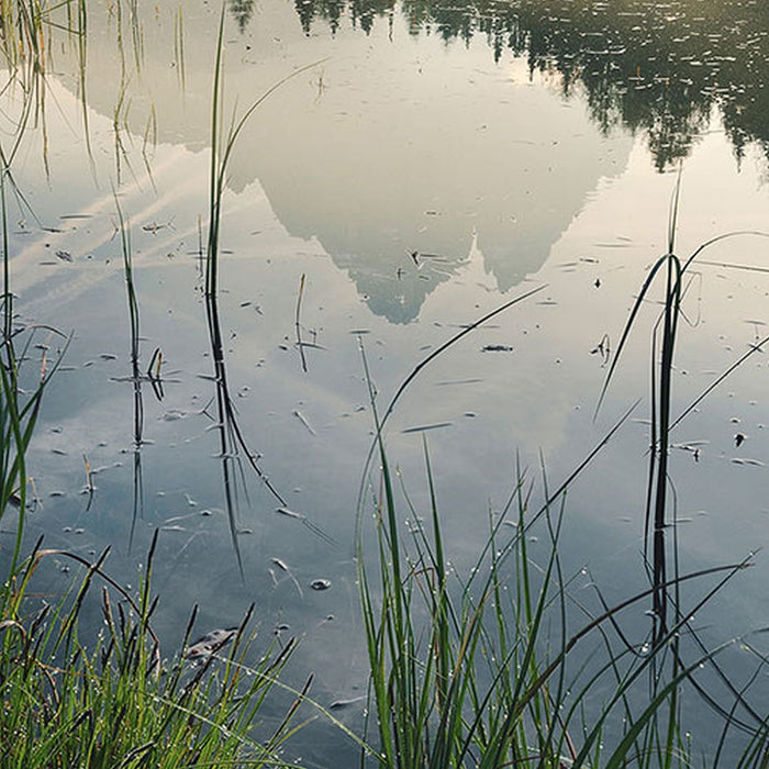 Vlies Fototapete | Morning Mist | Größe 100 x 280 cm
