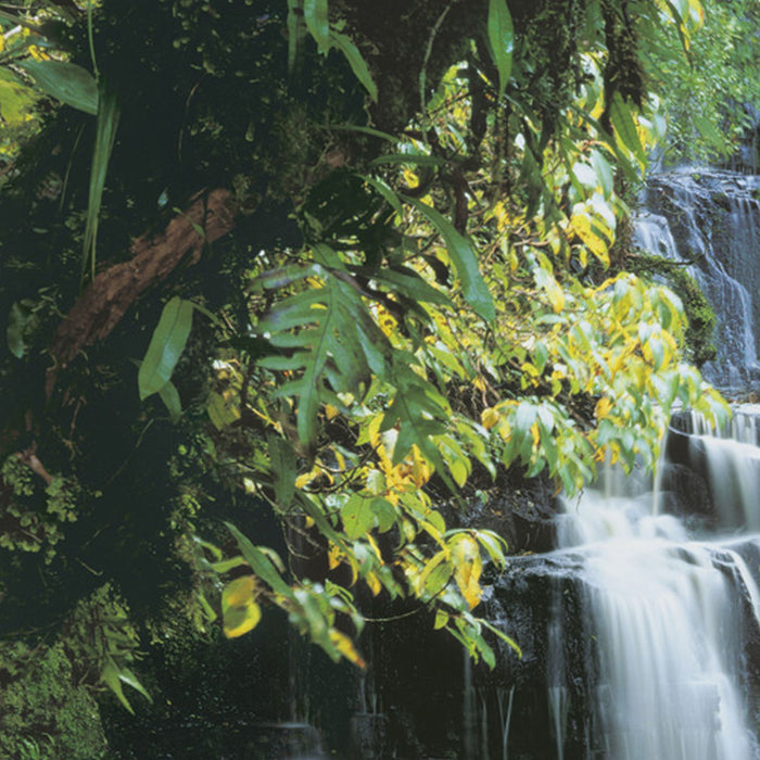 Komar | Papier Fototapete | Pura Kaunui Falls | Größe 368 x 254 cm