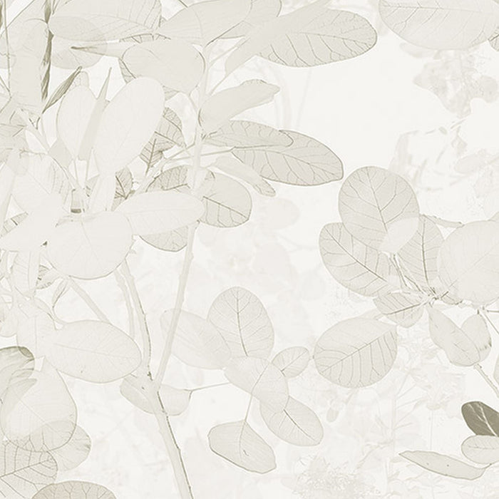 Vlies Fototapete | Sheer Grey | Größe 400 x 250 cm