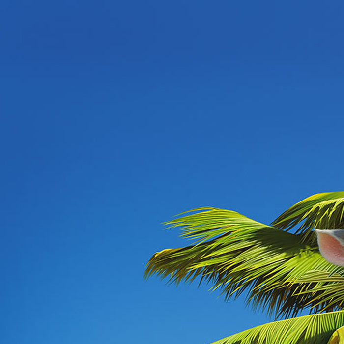 Komar | Vlies Fototapete | Moana and Maui | Größe 184 x 248 cm