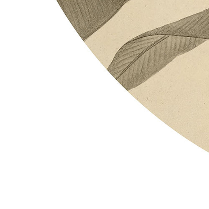 Selbstklebende Vlies Fototapete/Wandtattoo | Banana Plant | Größe 125 x 125 cm