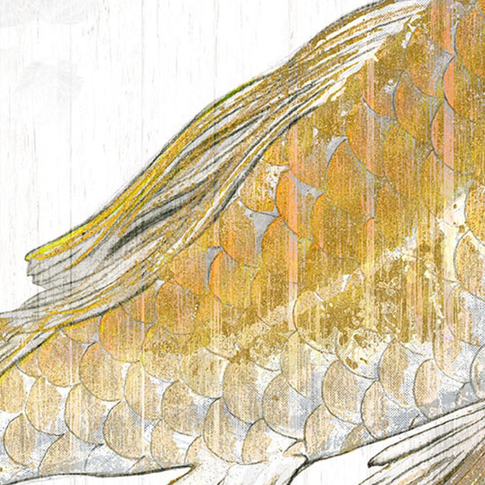 Komar | Vlies Fototapete | Golden Koi | Größe 400 x 280 cm
