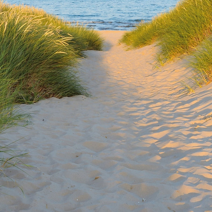 Papier Fototapete | Sandy Path | Größe 368 x 254 cm