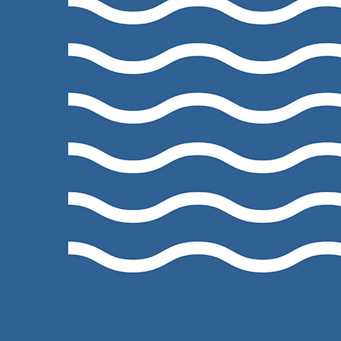 Vlies Fototapete | Mickey gone Surfin' | Größe 200 x 280 cm