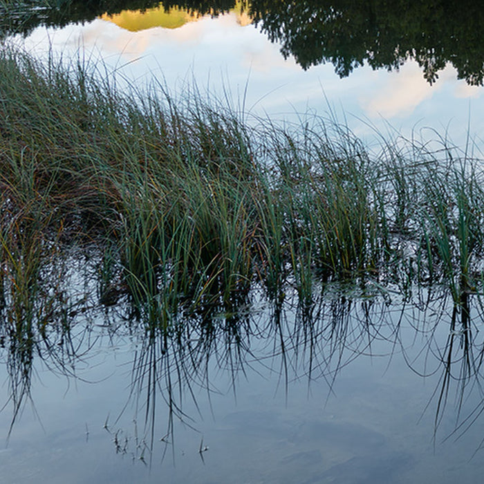 Vlies Fototapete | Allgäu Spiegel | Größe 450 x 280 cm