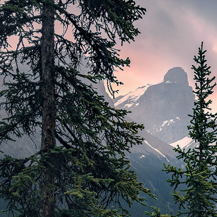 Vlies Fototapete | Spirit Island | Größe 450 x 280 cm