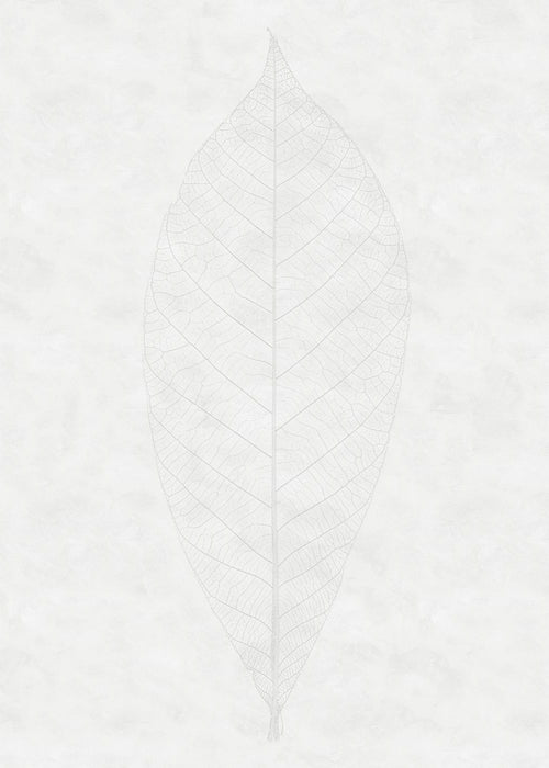 Komar | Vlies Fototapete | Decent Leaf | Größe 200 x 280 cm