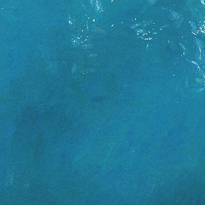 Vlies Fototapete | The Shore  | Größe 250 x 250 cm