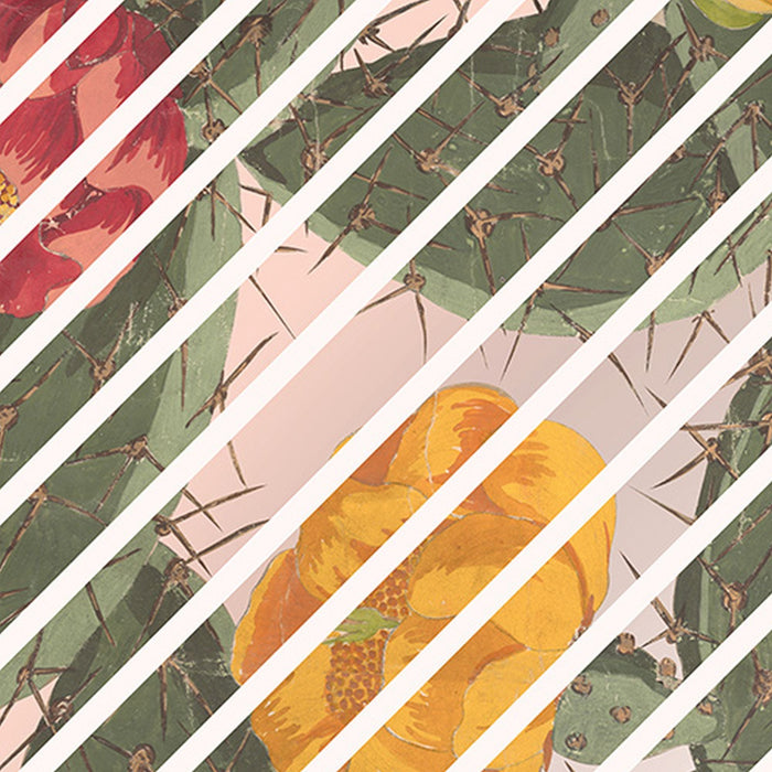 Vlies Fototapete | Cactus | Größe 300 x 280 cm