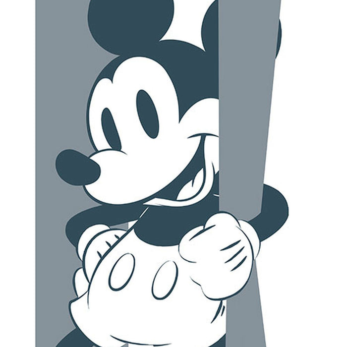 Vlies Fototapete | Mickey Offbeat | Größe 200 x 250 cm