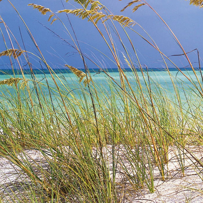 Papier Fototapete | Ocean Breeze | Größe 368 x 254 cm