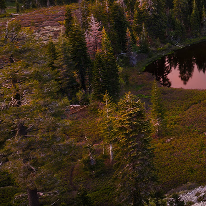 Vlies Fototapete | Between the Light | Größe 450 x 280 cm