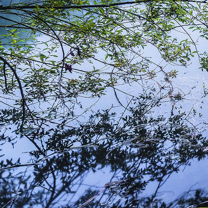 Vlies Fototapete | Morning View | Größe 200 x 100 cm