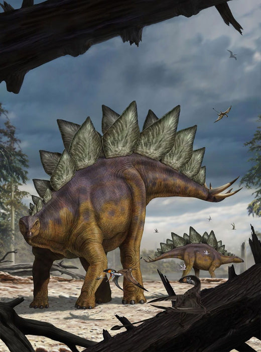 Komar | Vlies Fototapete | Stegosaurus | Größe 184 x 248 cm