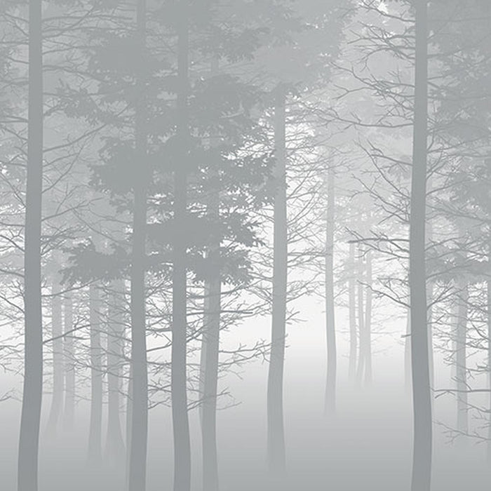 Vlies Fototapete | Nebula  | Größe 350 x 250 cm