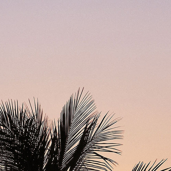 Vlies Fototapete | Hawaii | Größe 100 x 280 cm