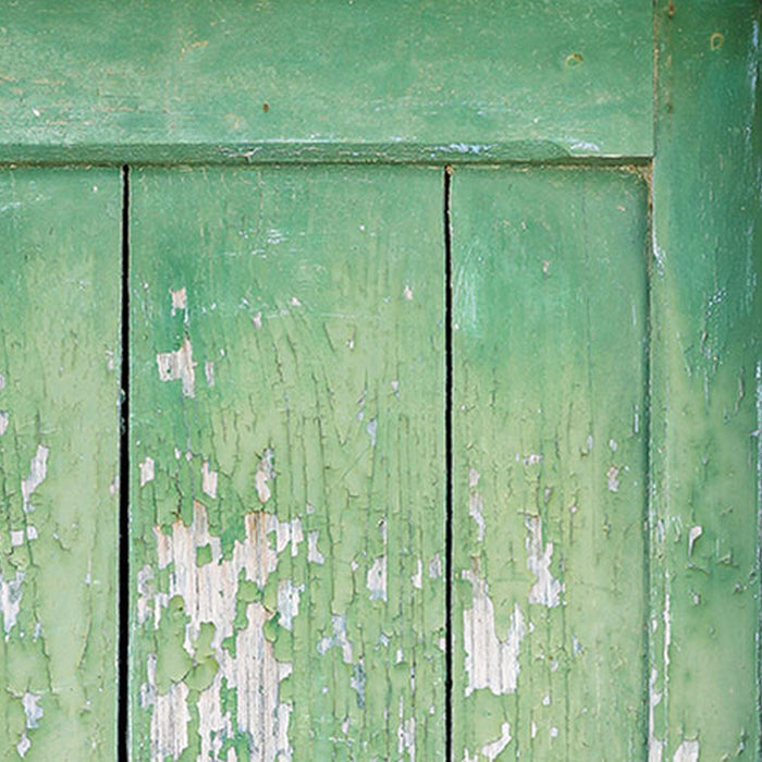 Vlies Fototapete | Gartentür | Größe 100 x 280 cm