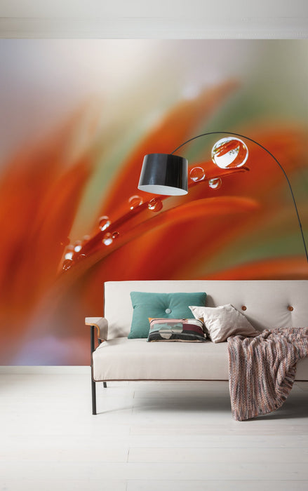 Vlies Fototapete | Tautropfen | Größe 300 x 250 cm