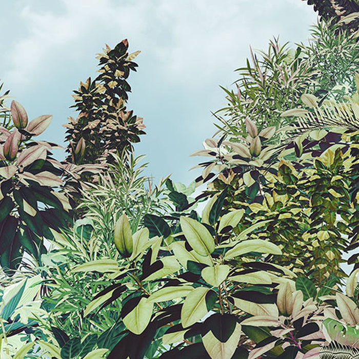 Vlies Fototapete | Tropical Heaven | Größe 368 x 248 cm