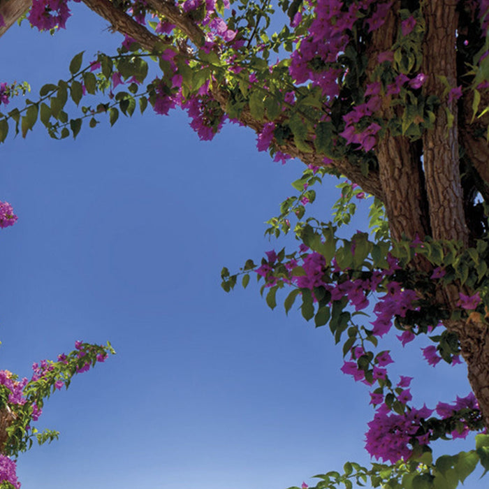 Papier Fototapete | Amalfi | Größe 368 x 254 cm