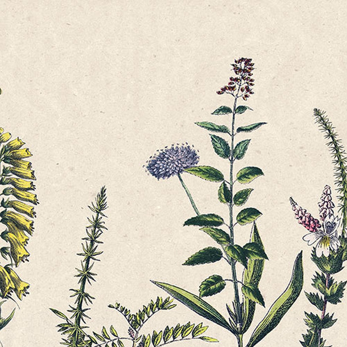 Vlies Fototapete | Flowering Herbs  | Größe 200 x 250 cm