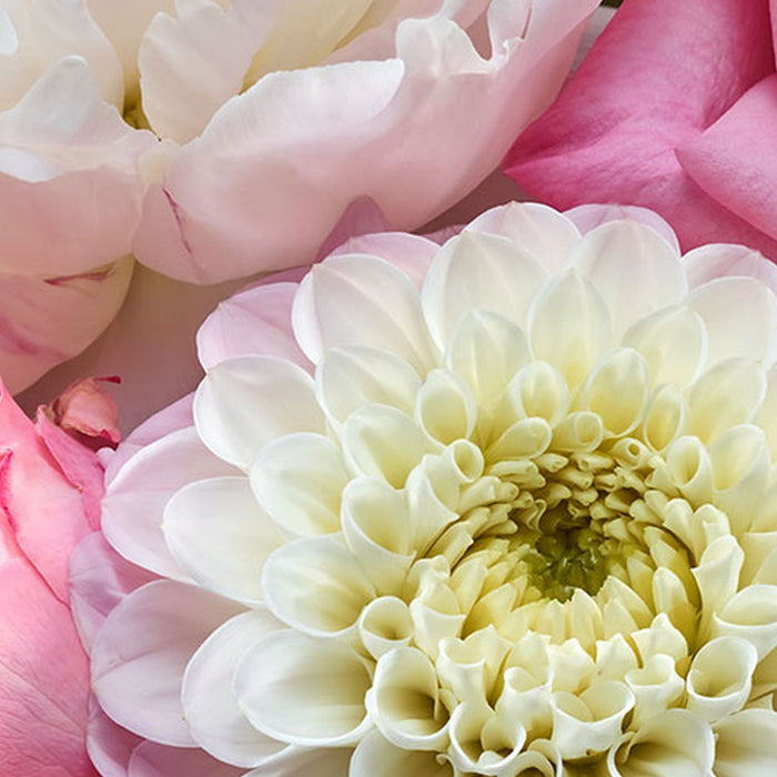 Papier Fototapete | Vibrant Spring | Größe 368 x 254 cm