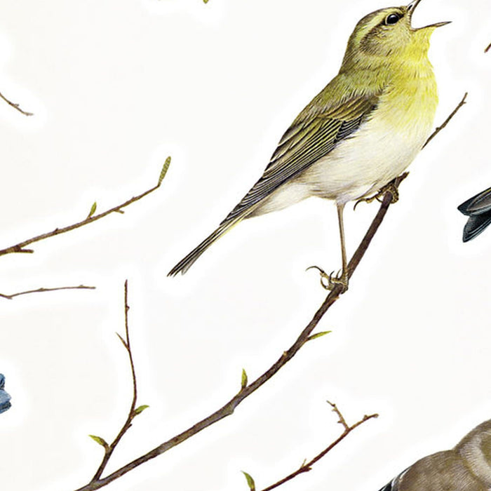 Wandtattoo | Vogerl | Größe 50 x 70 cm