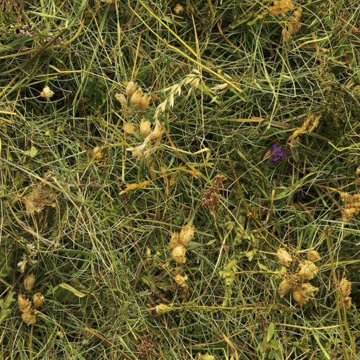 Vlies Fototapete | Bergheu | Größe 150 x 250 cm