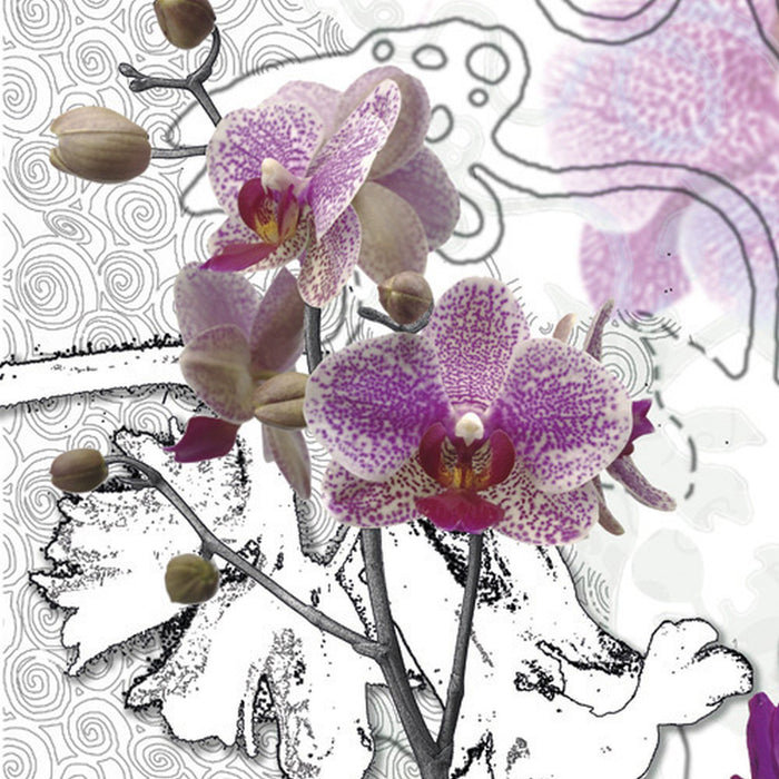 Komar | Papier Fototapete | Purple | Größe 368 x 254 cm