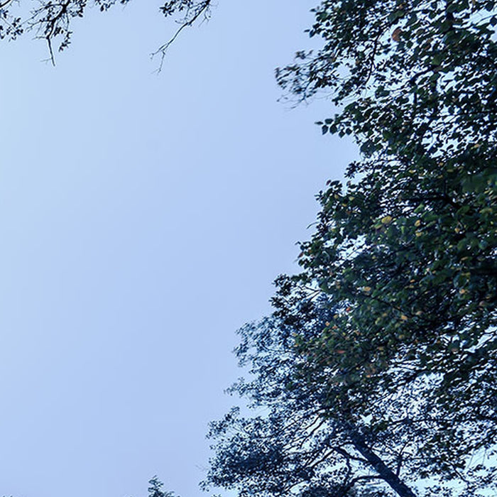 Komar | Vlies Fototapete | Blue Waters | Größe 400 x 250 cm