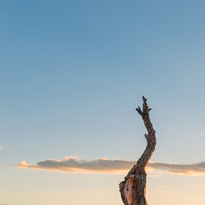 Vlies Fototapete | Final Light | Größe 450 x 280 cm