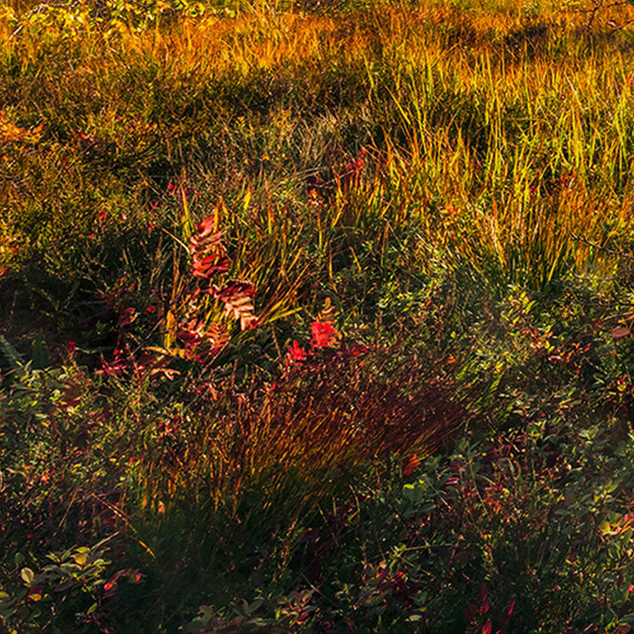 Vlies Fototapete | Norwegische Herbstwelten | Größe 450 x 280 cm