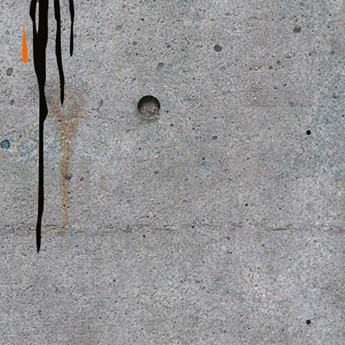 Vlies Fototapete | Star Wars Celebrate The Galaxy | Größe 120 x 200 cm