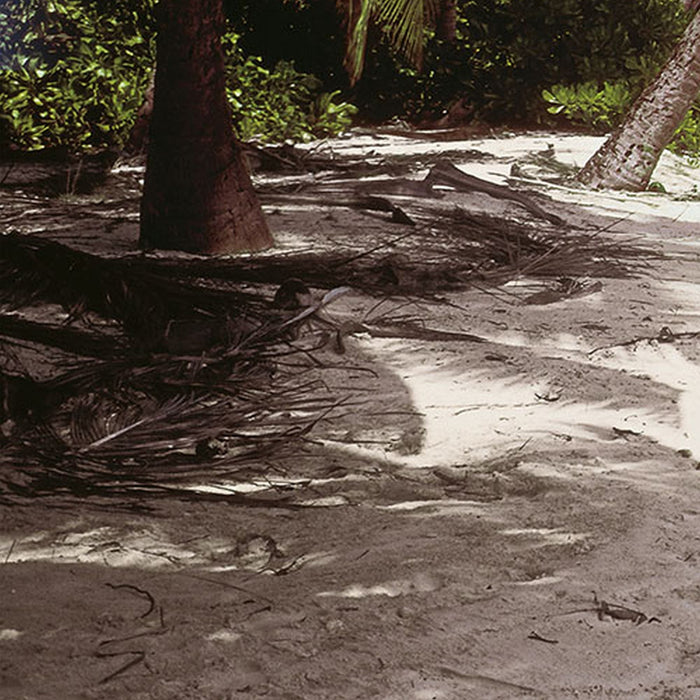 Vlies Fototapete | Maldives | Größe 300 x 250 cm