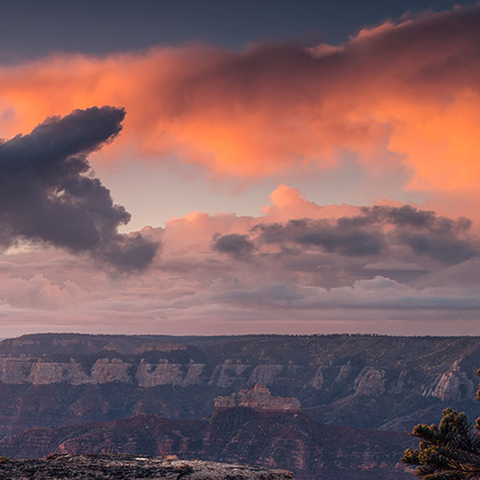 Vlies Fototapete | Grand View  | Größe 450 x 280 cm