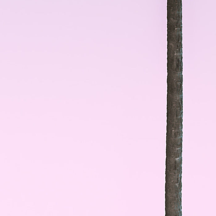 Komar | Vlies Fototapete | Skyhigh Panel | Größe 100 x 250 cm