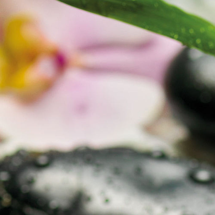 Vlies Fototapete | Wellness | Größe 100 x 280 cm