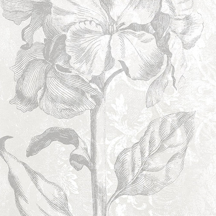 Vlies Fototapete | Baroque Grey | Größe 200 x 250 cm