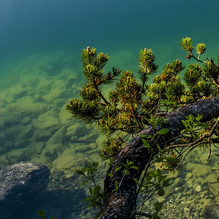 Vlies Fototapete | Beautiful Germany | Größe 200 x 250 cm