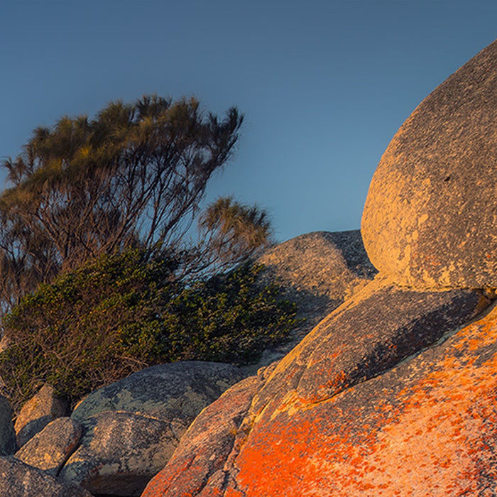 Vlies Fototapete | Bay of Fires | Größe 400 x 280 cm